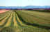 Plaine-agricoleSaint-Vallie.jpg (131351 octets)