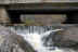 Ruisseau-de-la-chute.jpg (101338 octets)